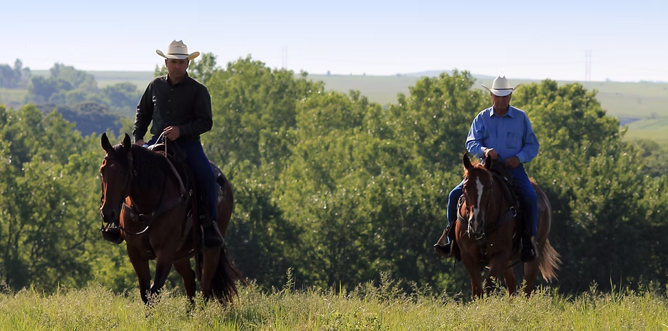 "High-quality Gehrts livestock fencing featuring durable continuous fence panels, ideal for secure cattle pens and tough bar fence solutions."