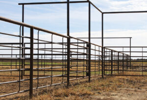 "Durable livestock fencing featuring sturdy continuous fence panels and tough bar fence design, ideal for secure cattle pens and optimal animal management."