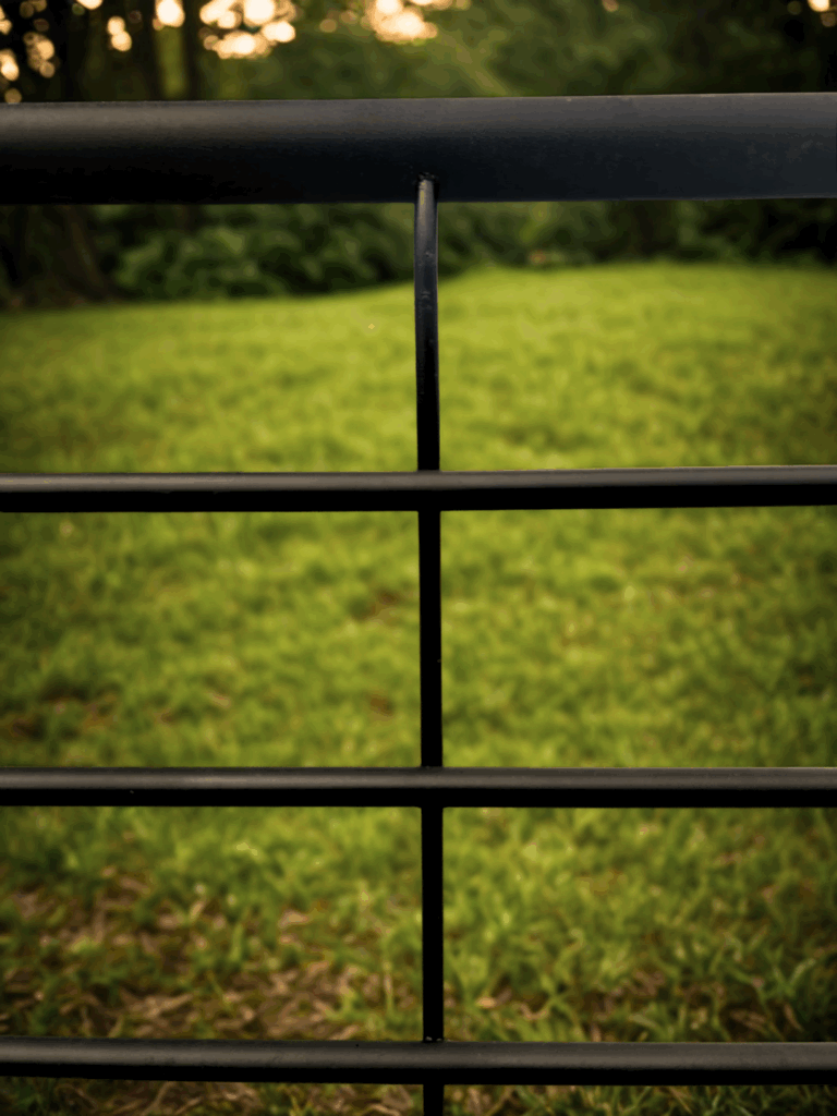 Gallery Title Here